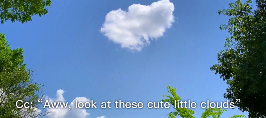 Sky with clouds and treetops image