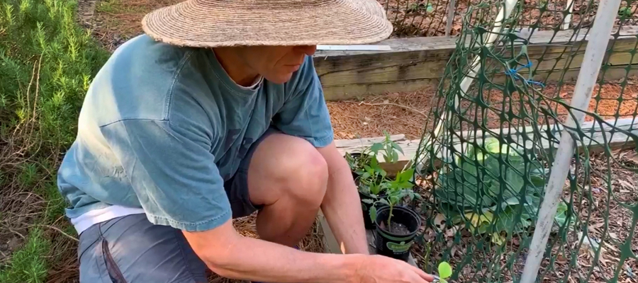 Person kneeling in a garden image