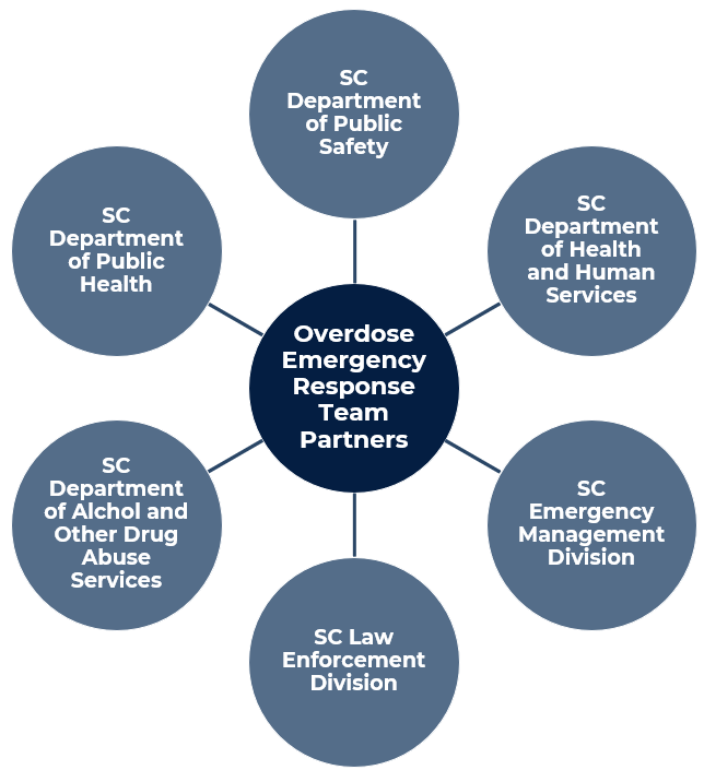 SC Overdose Emergency Response Team Partners are: SC Dept. of Public Safety, SC Dept. of Health and Human Services, SC Emergency Management Division, SC Law Enforcement Divison, SC Dept. of Alcohol and Other Drug Abuse Services, and SC DPH.