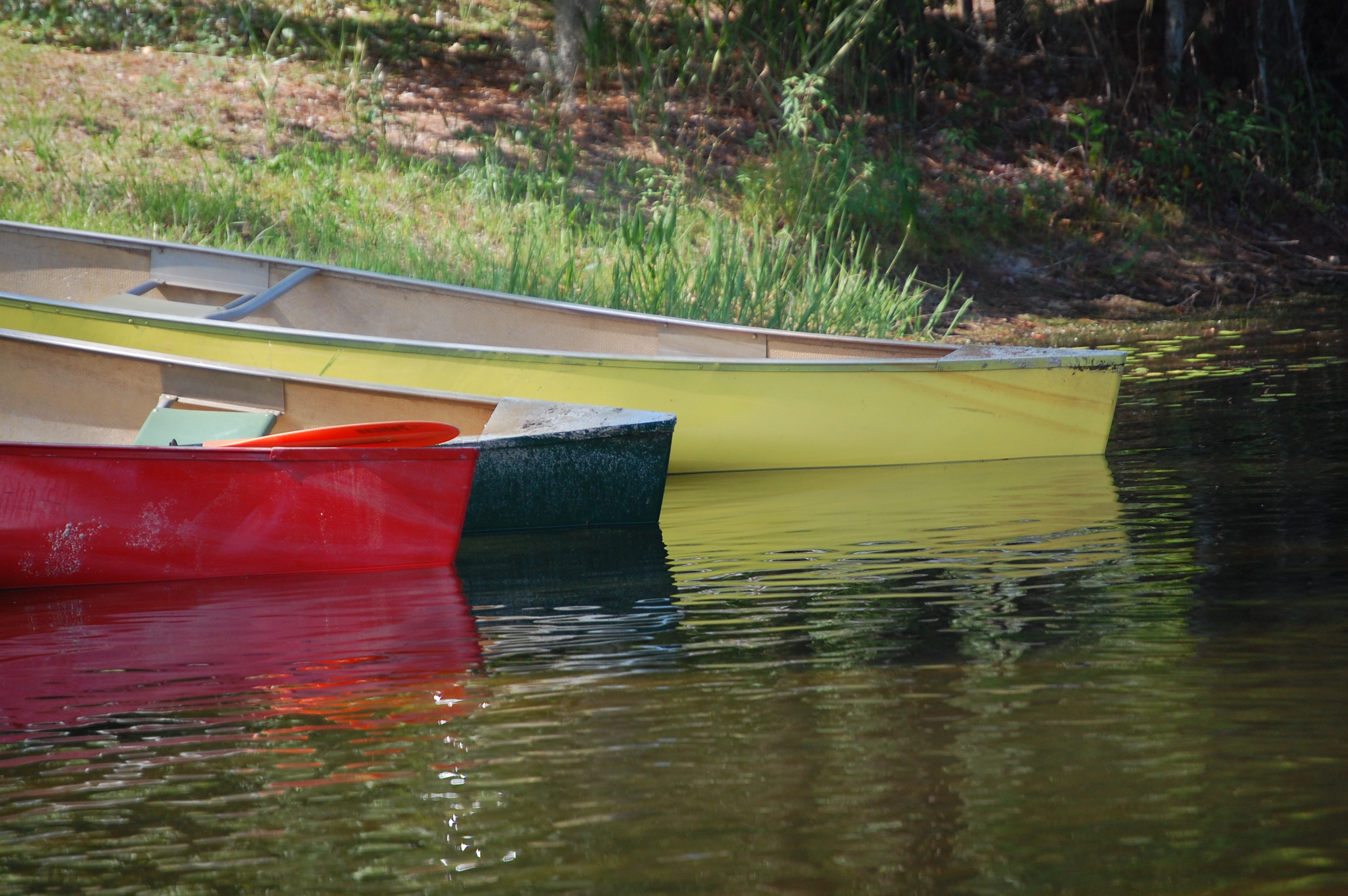 Red, green, and yellow canoe sticking into the lake water from the edge of grass