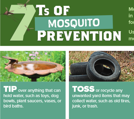 7 Ts of Mosquito Prevention pdf