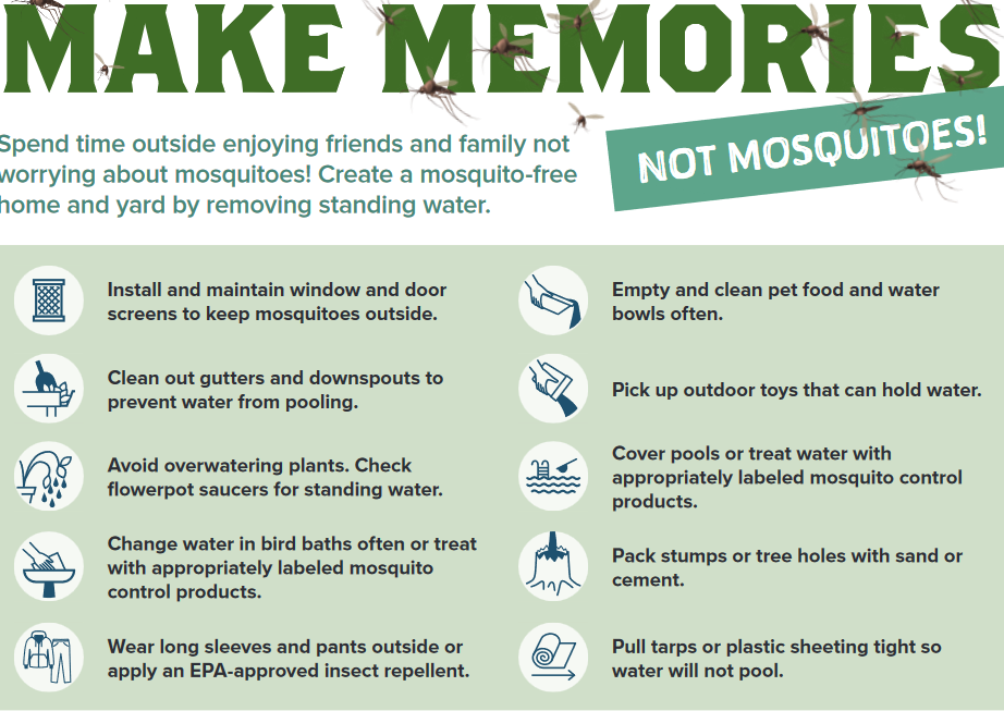 Make Memories Not Mosquitoes pdf