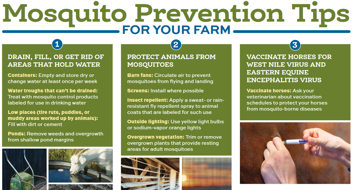 Mosquito prevention tips for your farm pdf