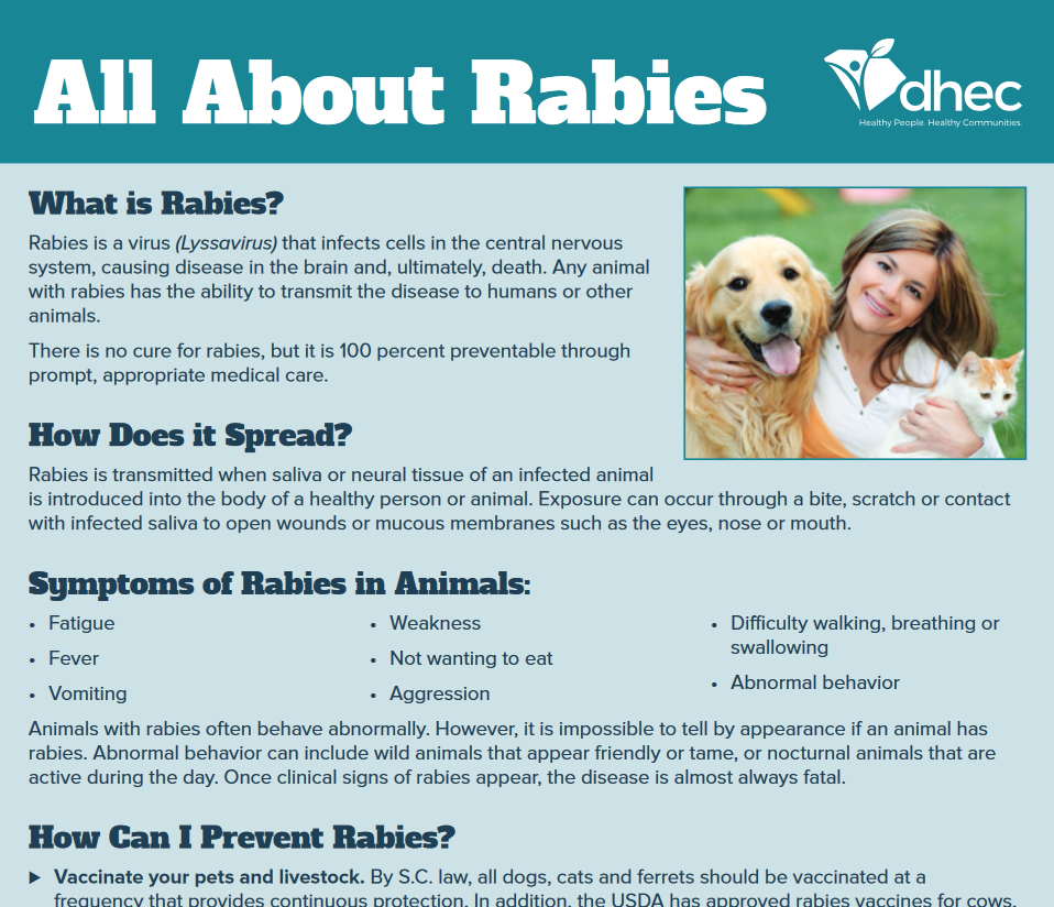 all about rabies pdf