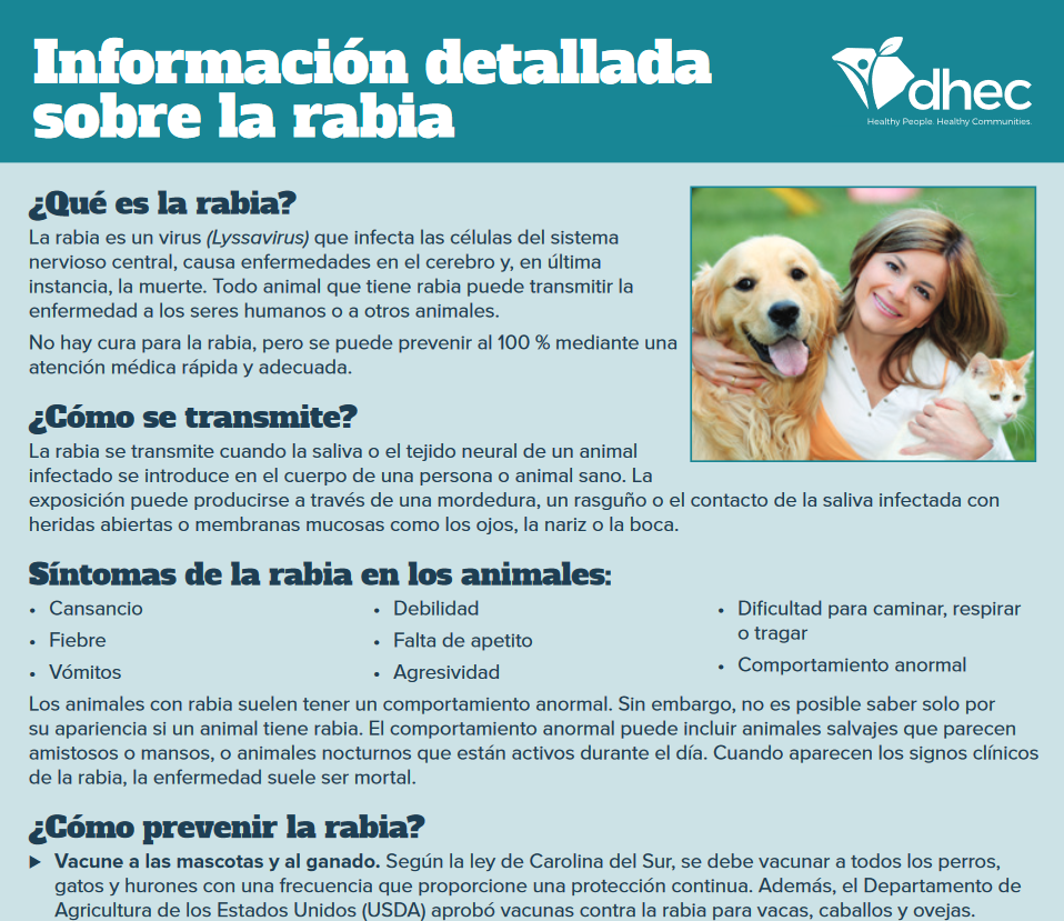 all about rabies pdf spanish