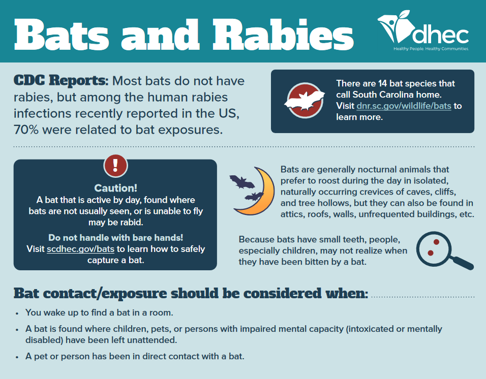 bats and rabies pdf