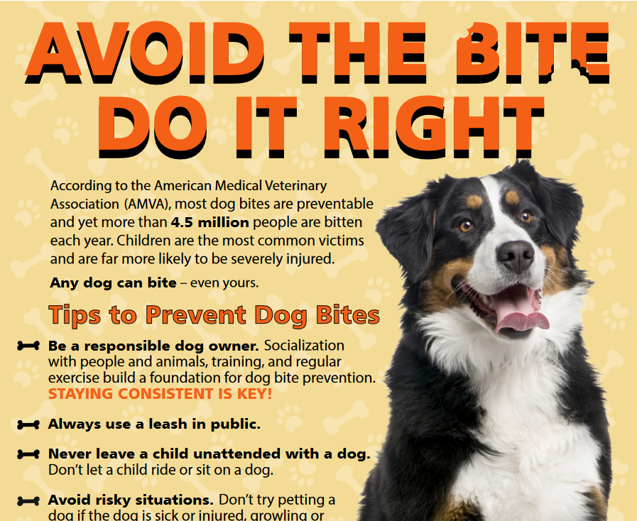 avoid the bite do it right pdf