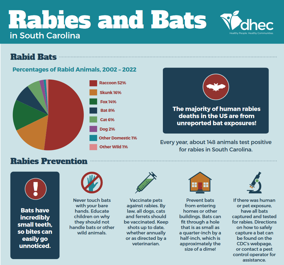 rabies and bats in sc pdf