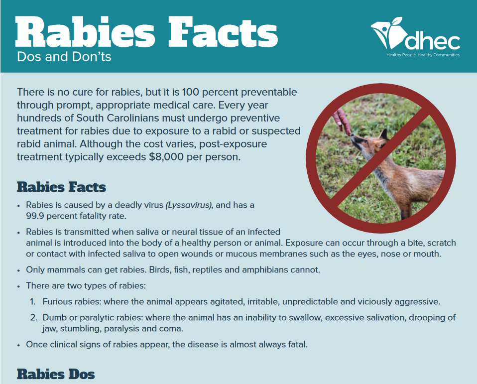 rabies facts pdf