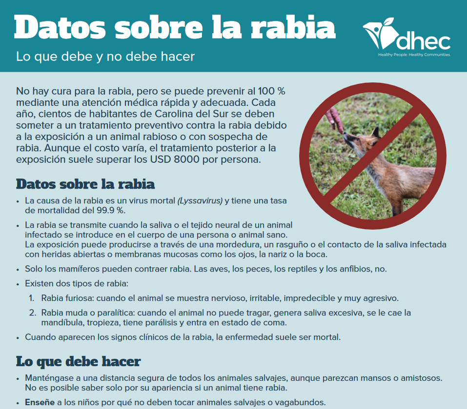 rabies facts pdf spanish