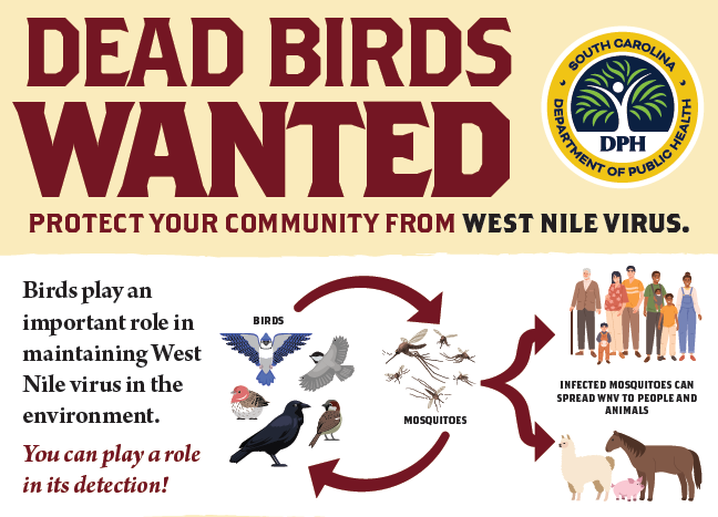 Dead Birds Wanted