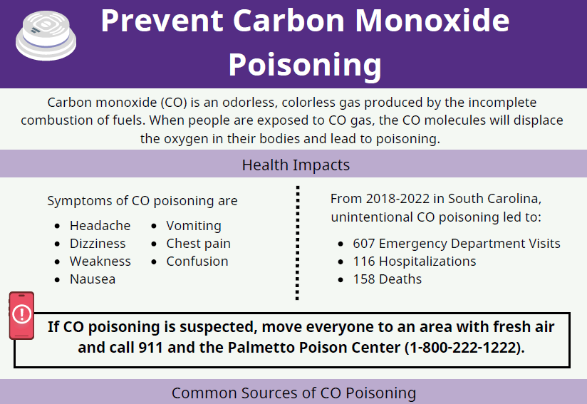 Prevent carbon monoxide poisoning pdf