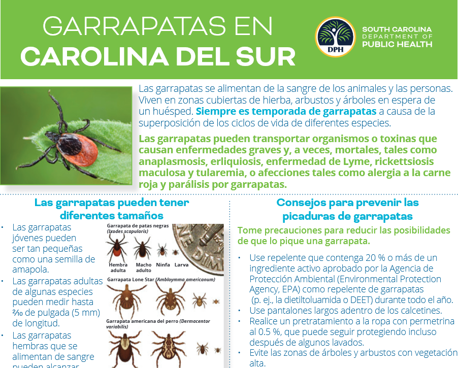 Garrapatas en Carolina del Sur