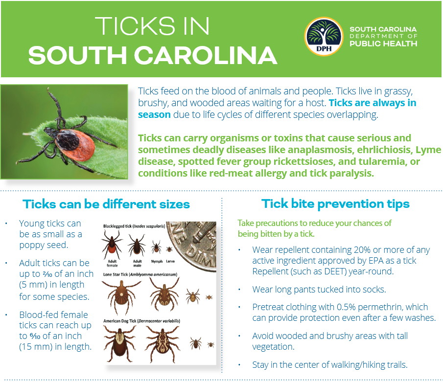 Ticks in SC