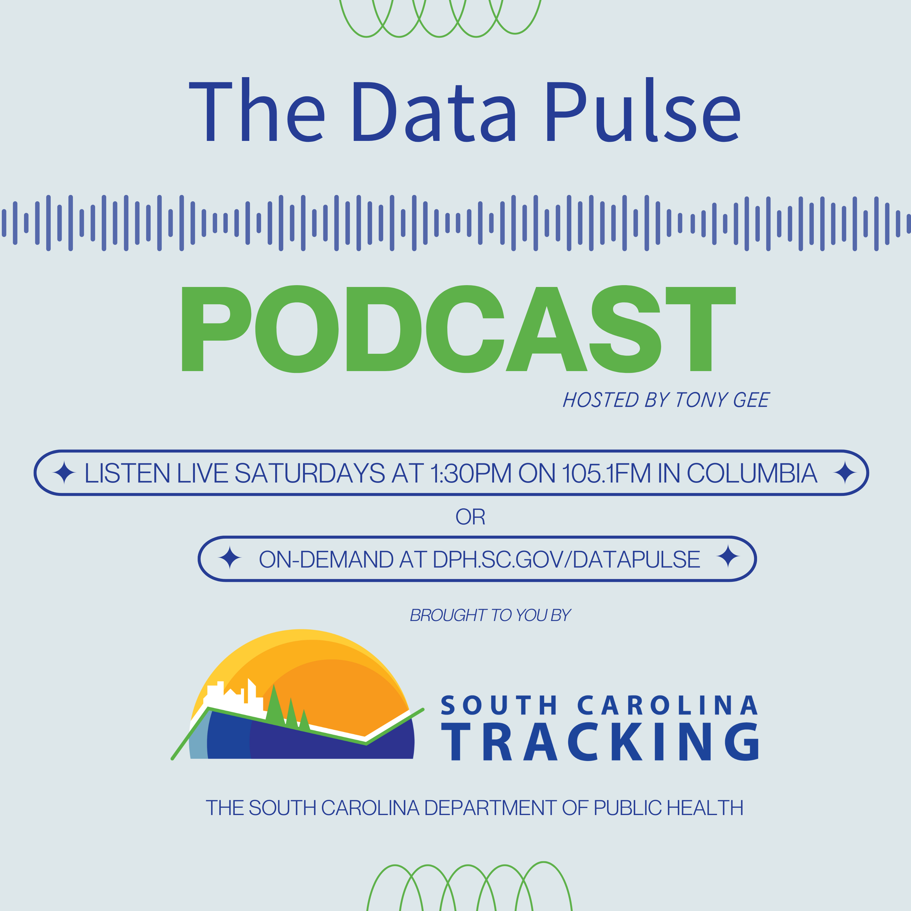 Data Pulse Podcast Logo