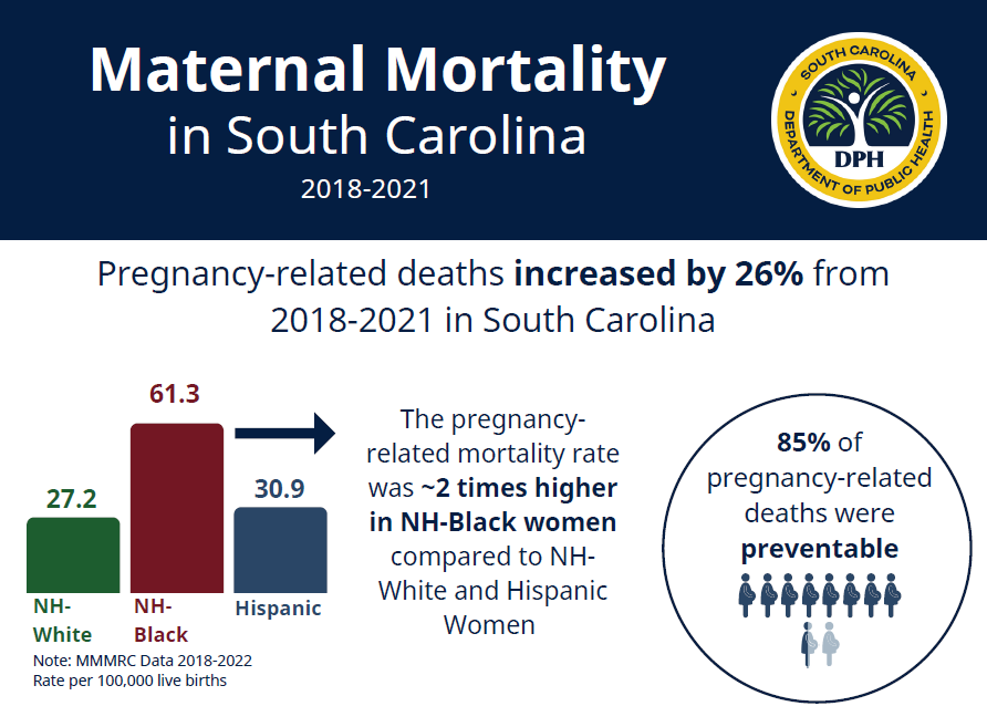 Maternal mortality infographic