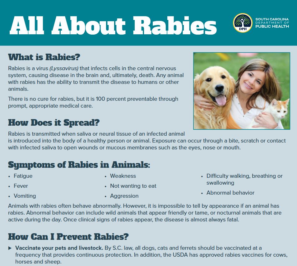 all about rabies