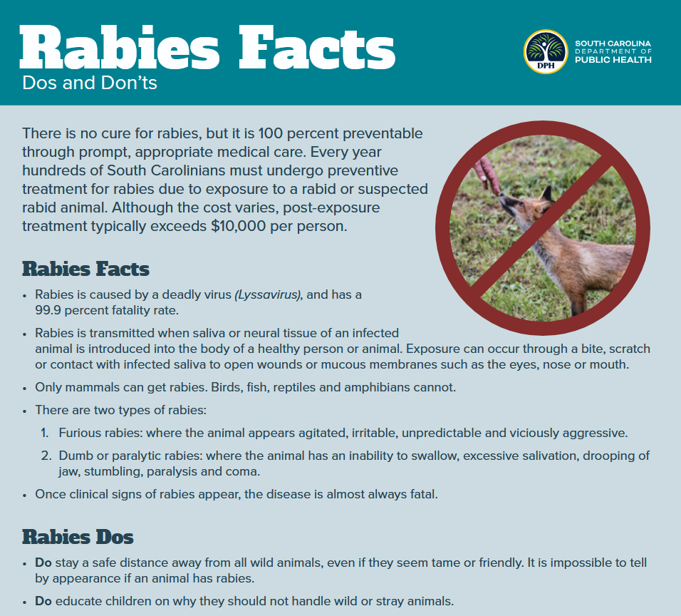 rabies facts
