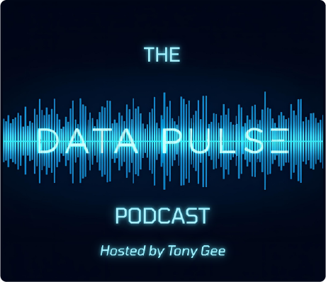 Data Pulse small logo