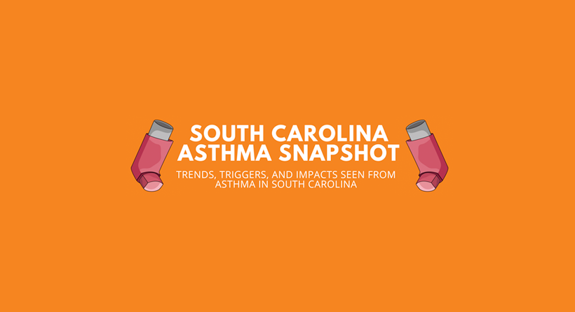 Two inhalers around text reading asthma snapshot