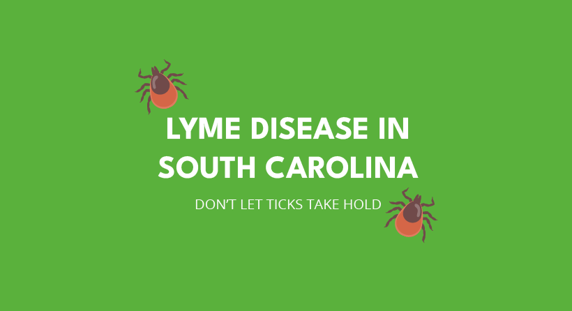 Lyme Disease in SC green cover with tick drawings in corners
