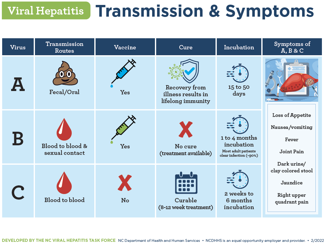 Viral Hepatitis Transmission Symptoms chart