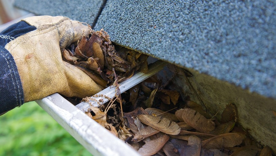 A hand wearing gardening gloves grabbing leaves out of a gutter