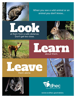 For Kids - Look, Learn and Leave handout image