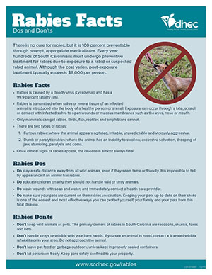 Rabies Facts - Dos and Don'ts handout image