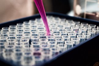 A pipette with pink fluid filling a tray of long skinny beakers 