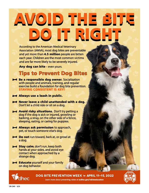 Dog Bite Prevention Poster handout image