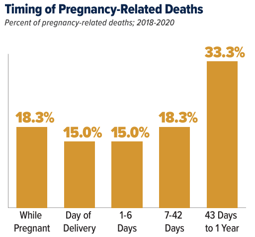 Pregnancy Related Deaths by Timing