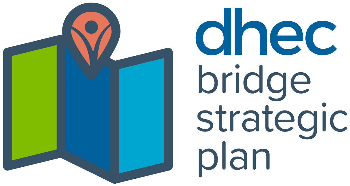 DHEC Bridge Strategic Plan logo image