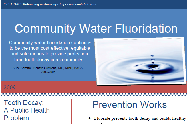 Community Water Flouridation pdf