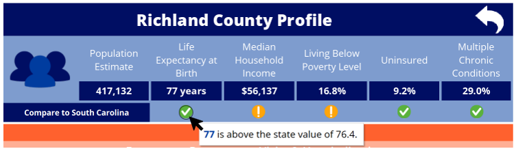 County Profiles Dashboard icons example image 1