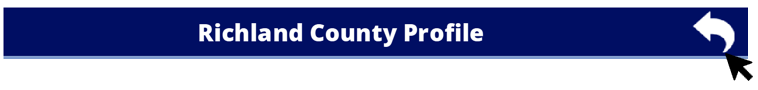 County Profiles Dashboard back arrow example image