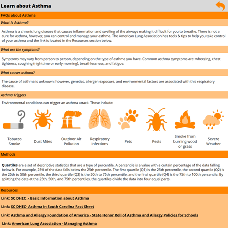 Asthma Dashboard information page example image