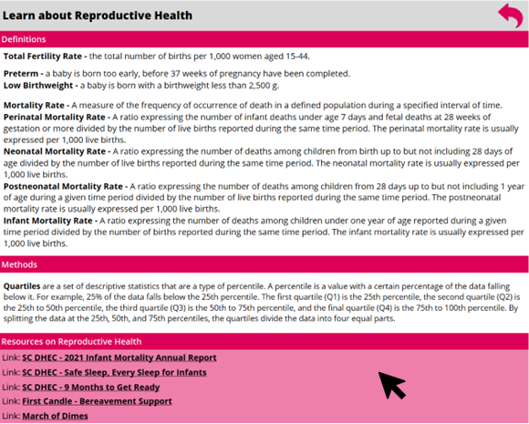 Reproductive Health Dashboard information page example image