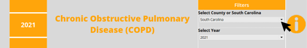 Chronic Obstructive Pulmonary Disease (COPD) filter menu example image
