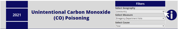 Unintentional Carbon Monoxide (CO) Poisoning filter header example image