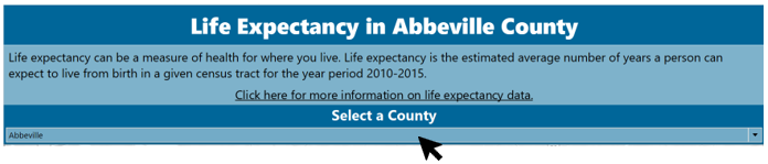 Life Expectancy Dashboard filter menu example image