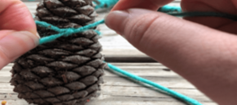 String tied around a pinecone image