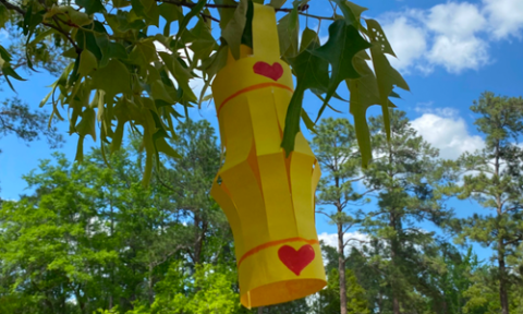 paper lantern in tree