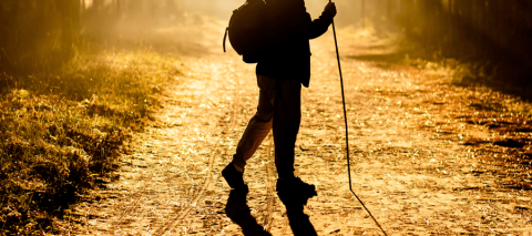 Hiker with walking stick on a nature trail image
