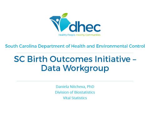 SC Birth Outcomes Initiative - Data Workgroup panel presentation title slide