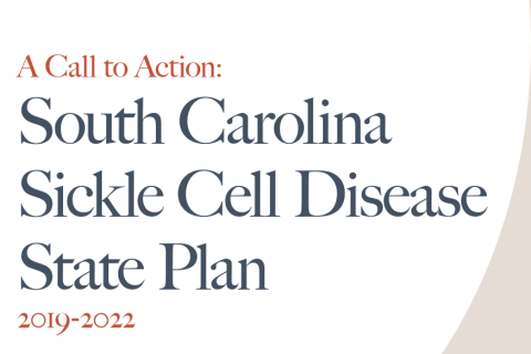A call to action: South Carolina Sickle Cell Disease State Plan, 2019-2022 pdf cover